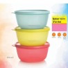 Tupperware Mega Çeyiz Saklama Seti